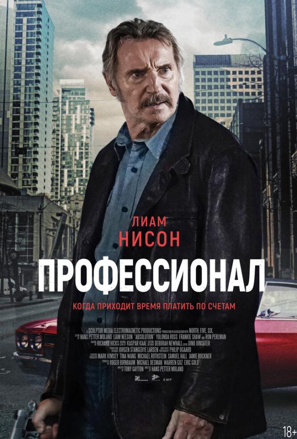 Фильм Профессионал 2024 смотреть онлайн: триллер с Райаном Хомчиком
